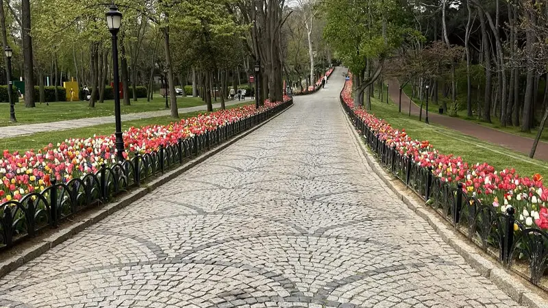 Emirgan Korusu