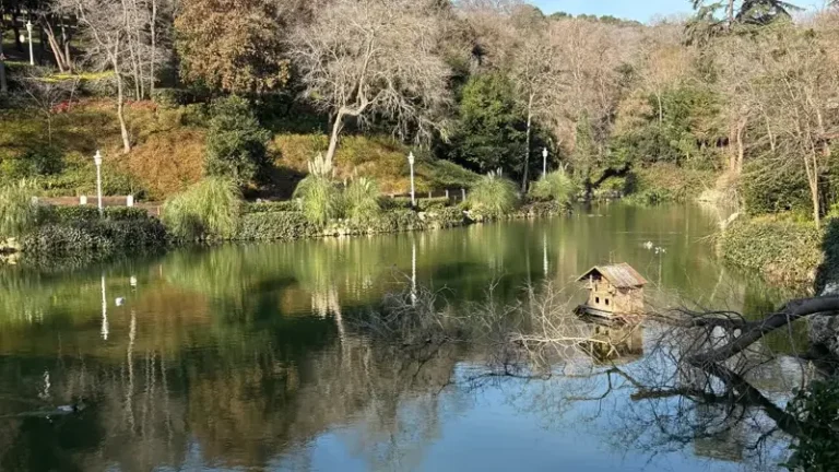 Yıldız Parkı